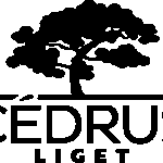 Aston Tuzvedelem - logo_cedrus